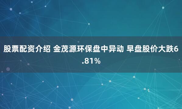 股票配資介紹 金茂源環保盤中異動 早盤股價大跌6.81%